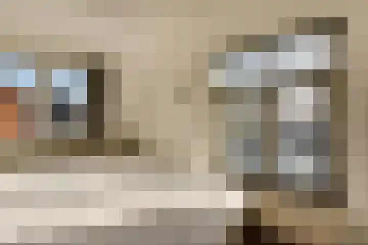 Tweeboomlaan 100 Hoorn thumbnail 23