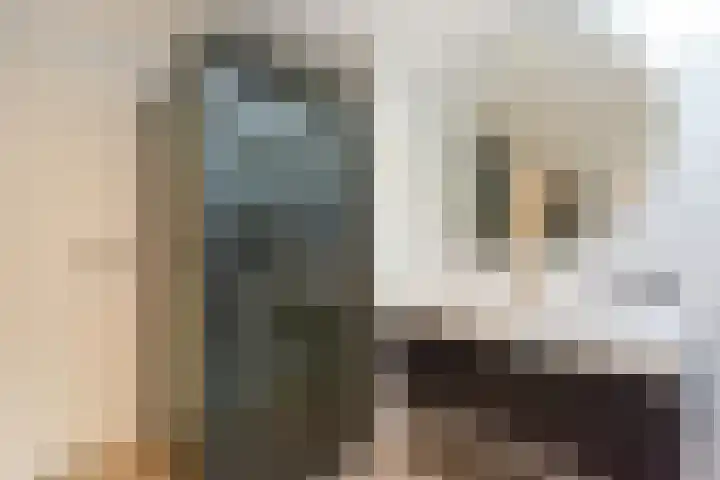 Tweeboomlaan 100 Hoorn thumbnail 26