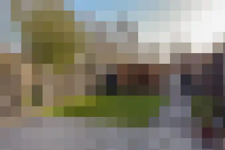 Tweeboomlaan 100 Hoorn thumbnail 30
