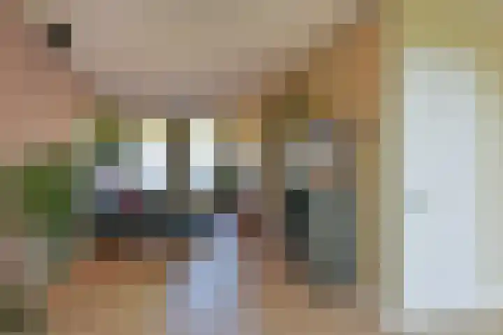 Tweeboomlaan 100 Hoorn thumbnail 8