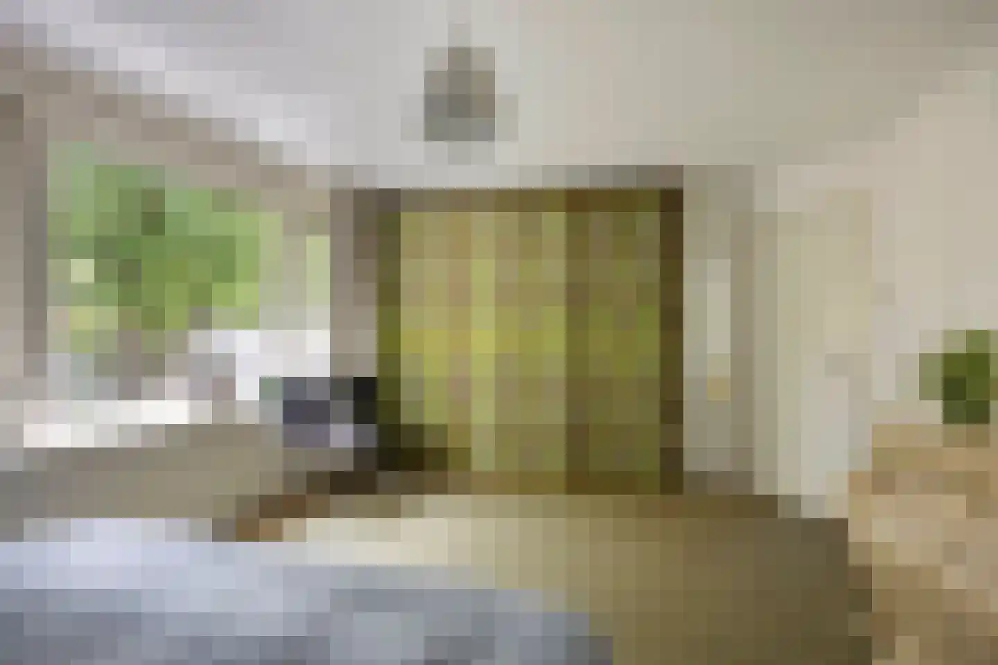 Tweeboomlaan 107 Hoorn thumbnail 24