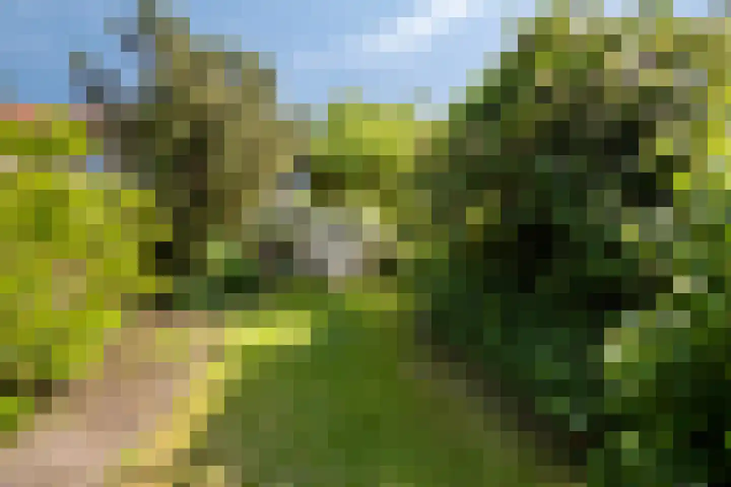 Tweeboomlaan 107 Hoorn thumbnail 34