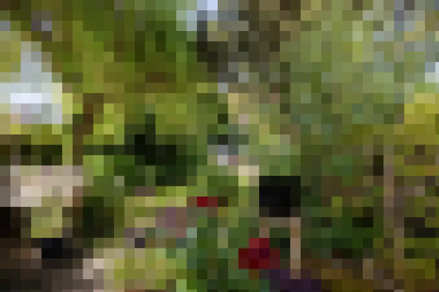 Tweeboomlaan 107 Hoorn thumbnail 36