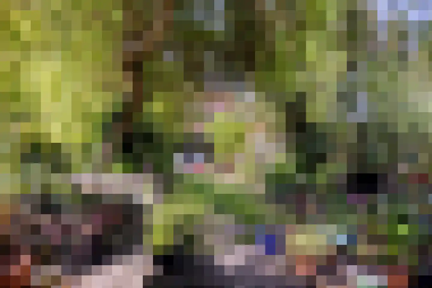 Tweeboomlaan 107 Hoorn thumbnail 6