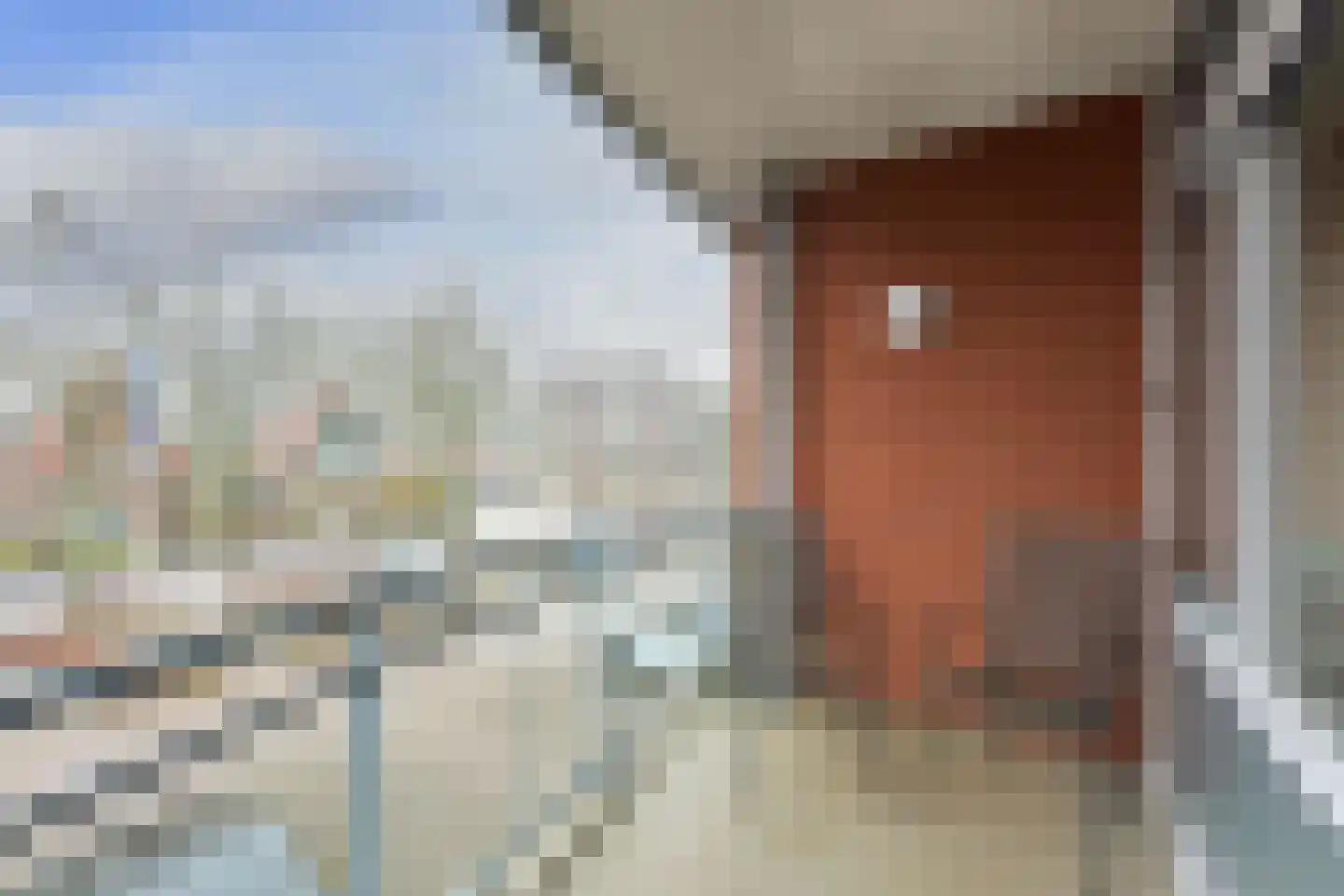 Tweeboomlaan 136 Hoorn thumbnail 20