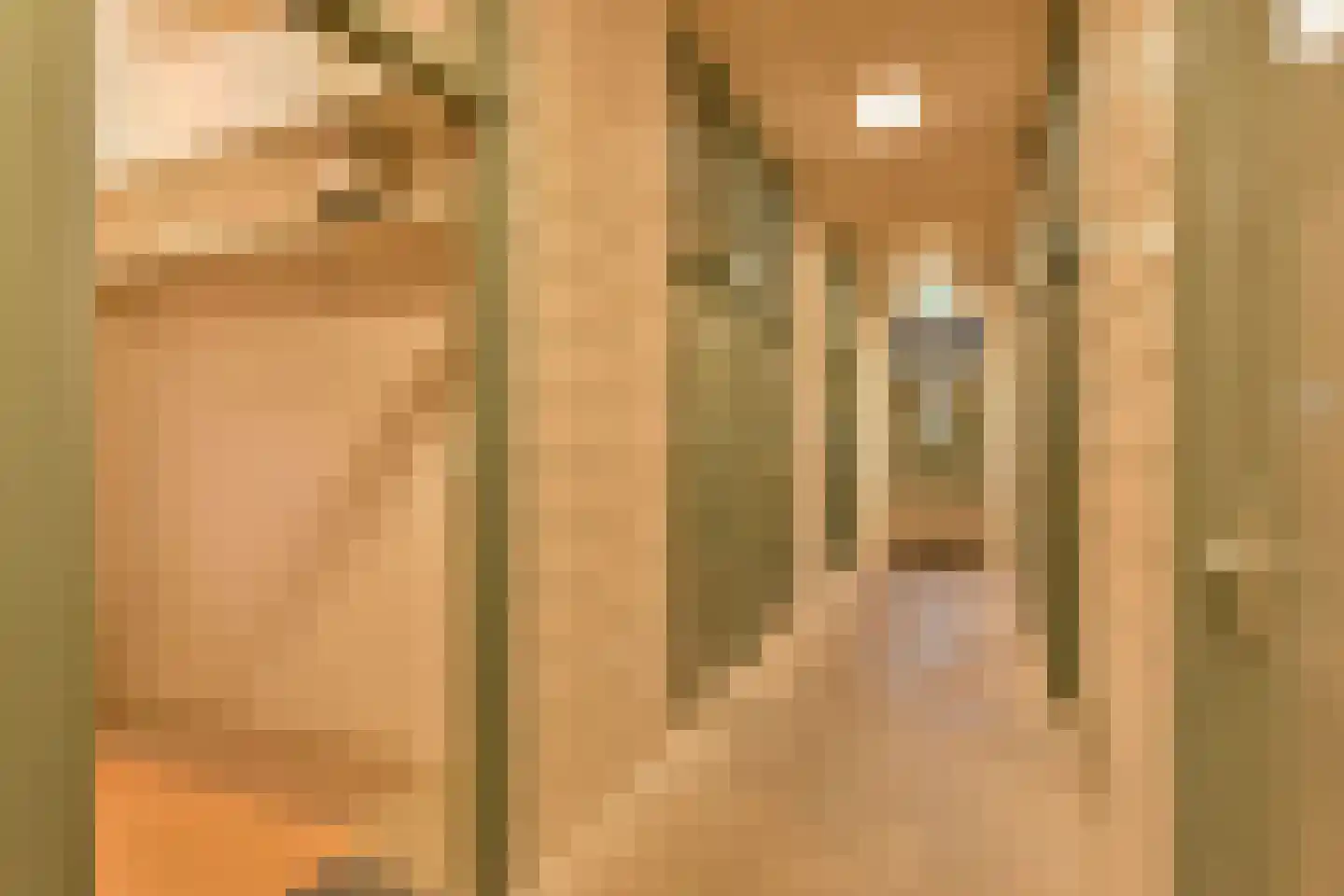 Tweeboomlaan 136 Hoorn thumbnail 23