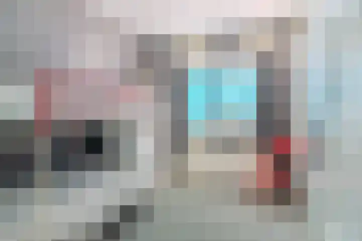 Tweeboomlaan 24 Hoorn thumbnail 27