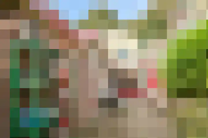 Tweeboomlaan 24 Hoorn thumbnail 32