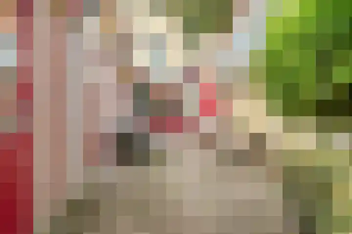 Tweeboomlaan 24 Hoorn thumbnail 33