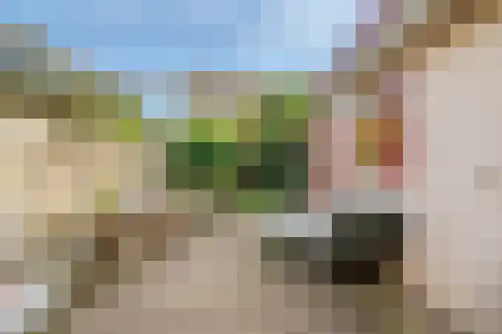 Tweeboomlaan 24 Hoorn thumbnail 35