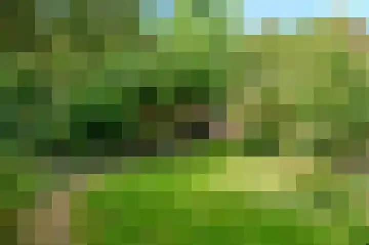 Tweeboomlaan 24 Hoorn thumbnail 36
