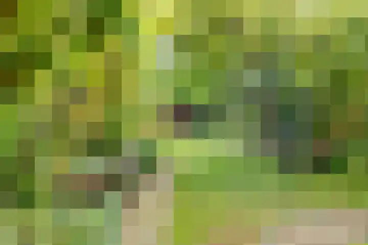 Tweeboomlaan 24 Hoorn thumbnail 37