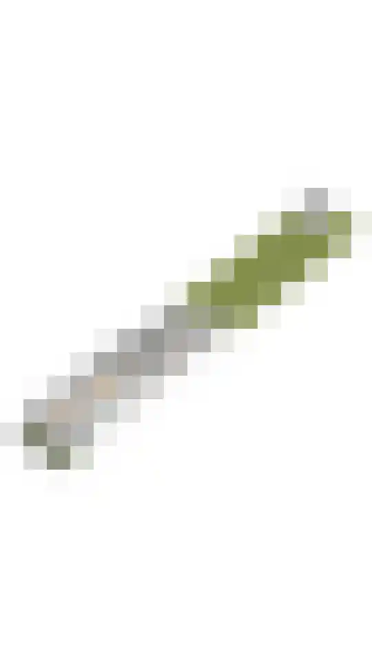 Tweeboomlaan 24 Hoorn thumbnail 44