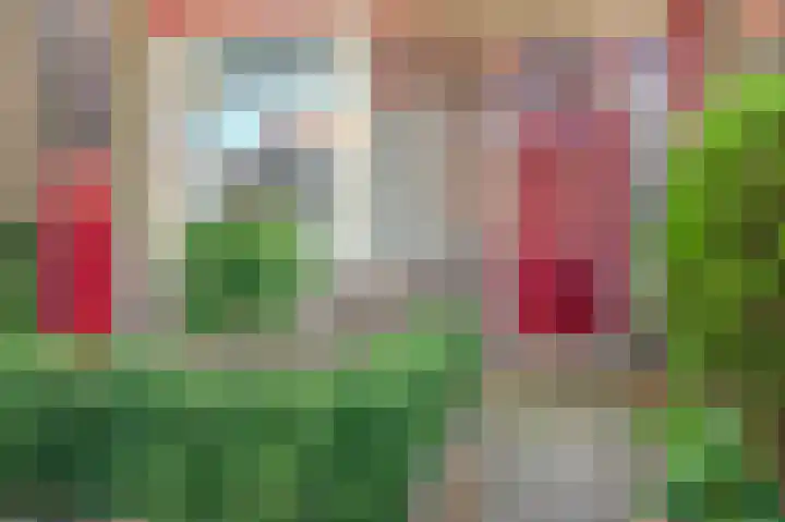 Tweeboomlaan 24 Hoorn thumbnail 9