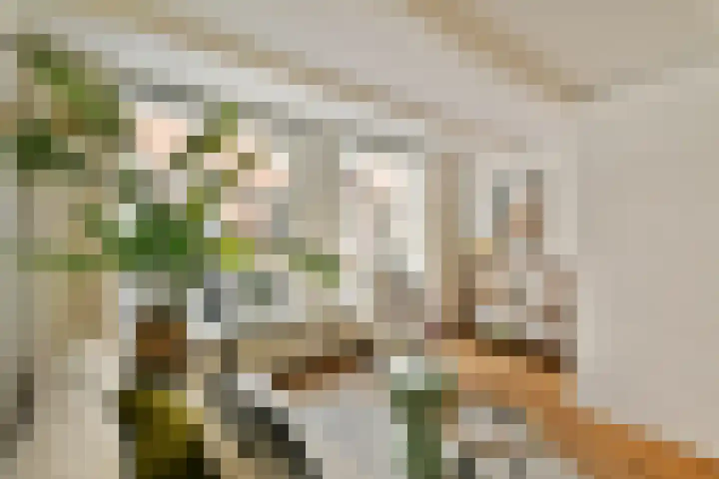 Tweede Anjeliersdwarsstraat 20 H Amsterdam thumbnail 5