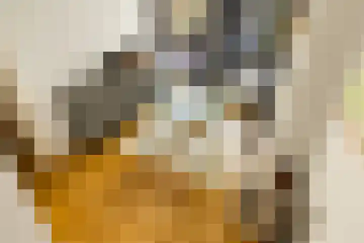 Tweede Atjehstraat 20 H Amsterdam thumbnail 13