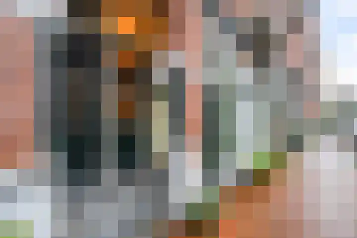 Tweede Atjehstraat 20 H Amsterdam thumbnail 24