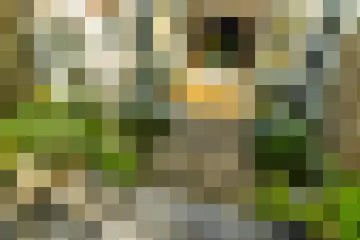 Tweede Atjehstraat 20 H Amsterdam thumbnail 39