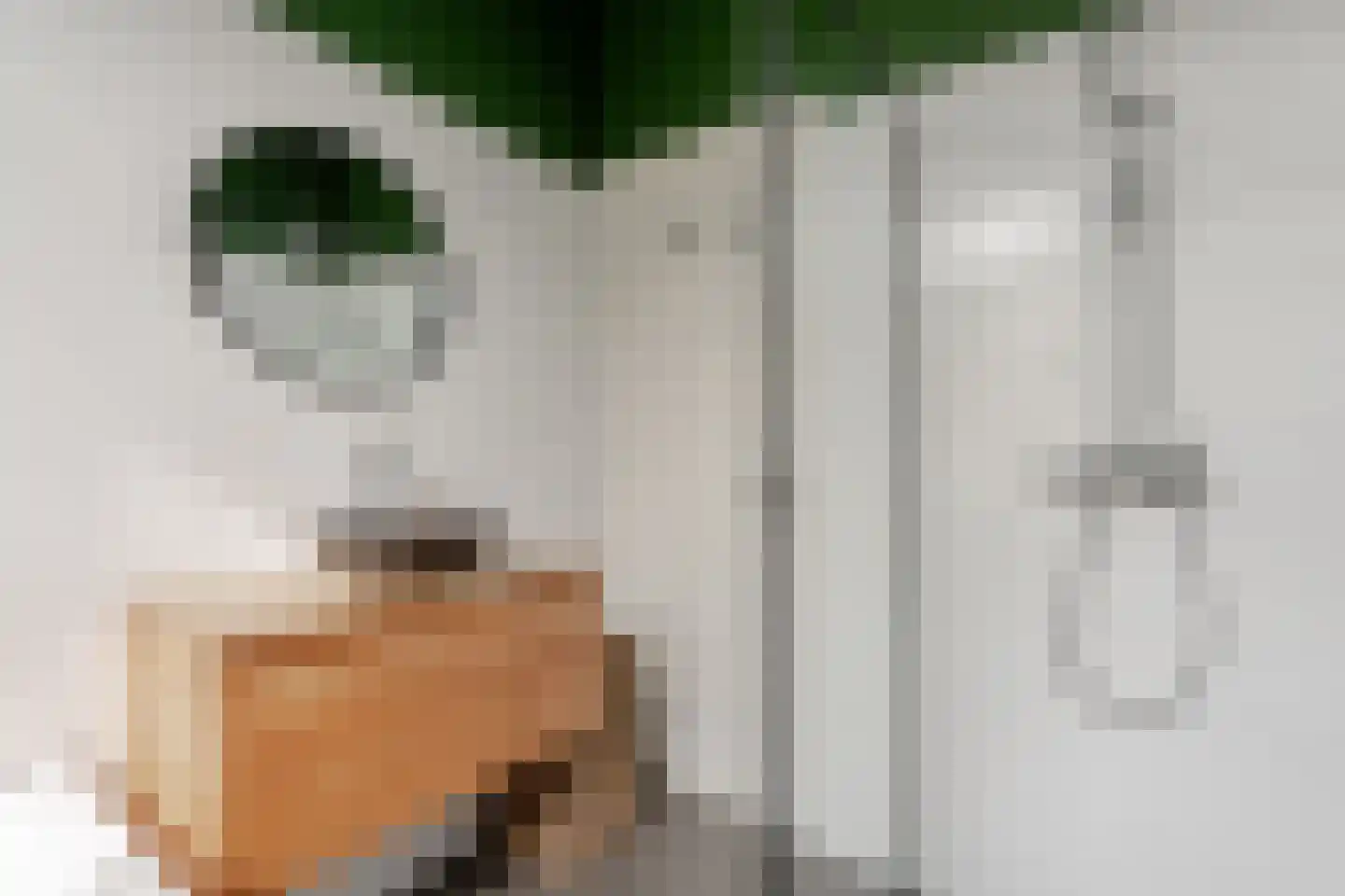Tweede Atjehstraat 22 3 Amsterdam thumbnail 29