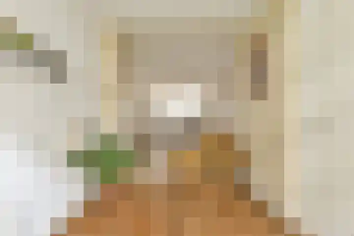 Tweede Atjehstraat 35 2 Amsterdam thumbnail 10