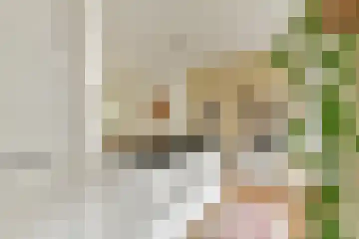 Tweede Atjehstraat 35 2 Amsterdam thumbnail 7