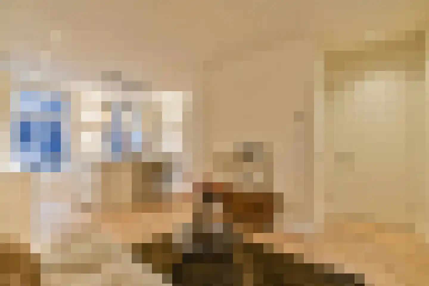 Tweede Atjehstraat 41 1 Amsterdam thumbnail 10