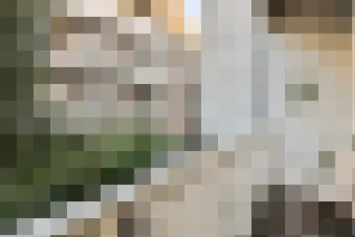 Tweede Atjehstraat 43 B Amsterdam thumbnail 11