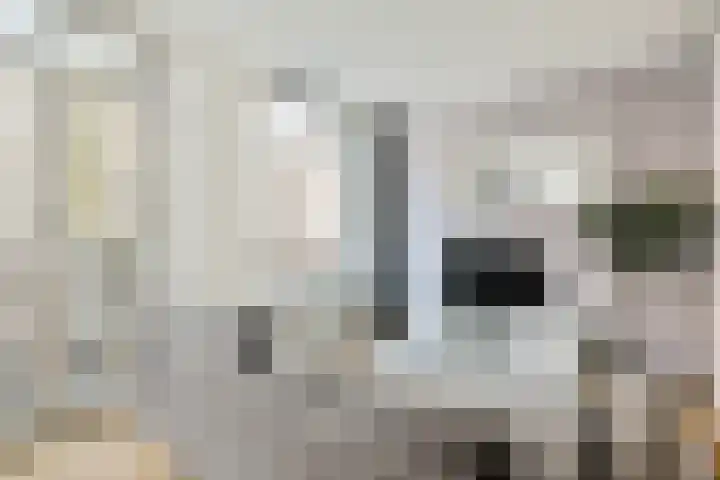 Tweede Atjehstraat 43 B Amsterdam thumbnail 4