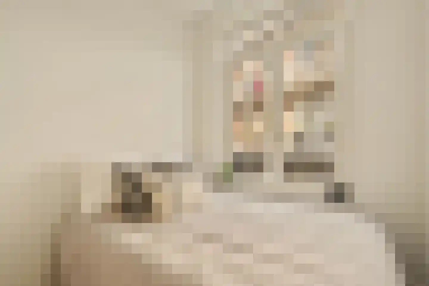 Tweede Atjehstraat 45 2 Amsterdam thumbnail 17