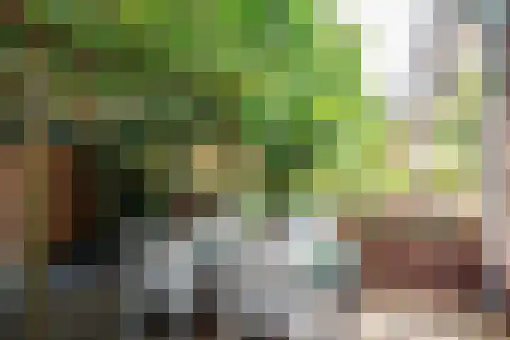 Tweede Atjehstraat 46 4 Amsterdam thumbnail 12