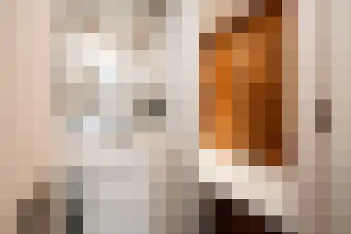 Tweede Atjehstraat 46 4 Amsterdam thumbnail 22