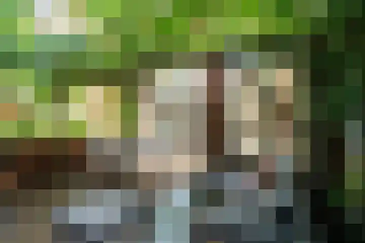Tweede Atjehstraat 46 4 Amsterdam thumbnail 5