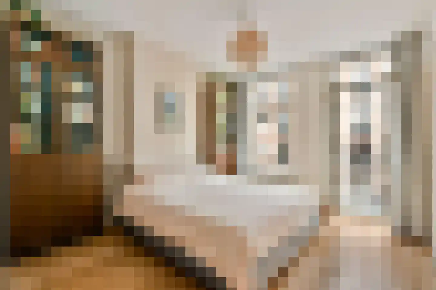 Tweede Atjehstraat 50 1 Amsterdam thumbnail 10