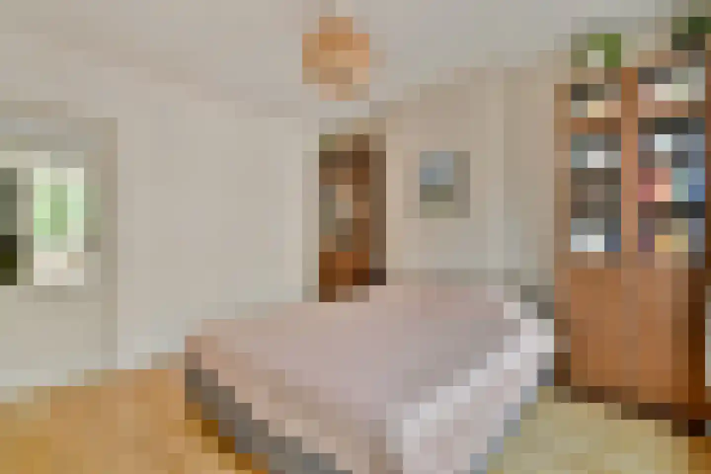 Tweede Atjehstraat 50 1 Amsterdam thumbnail 11