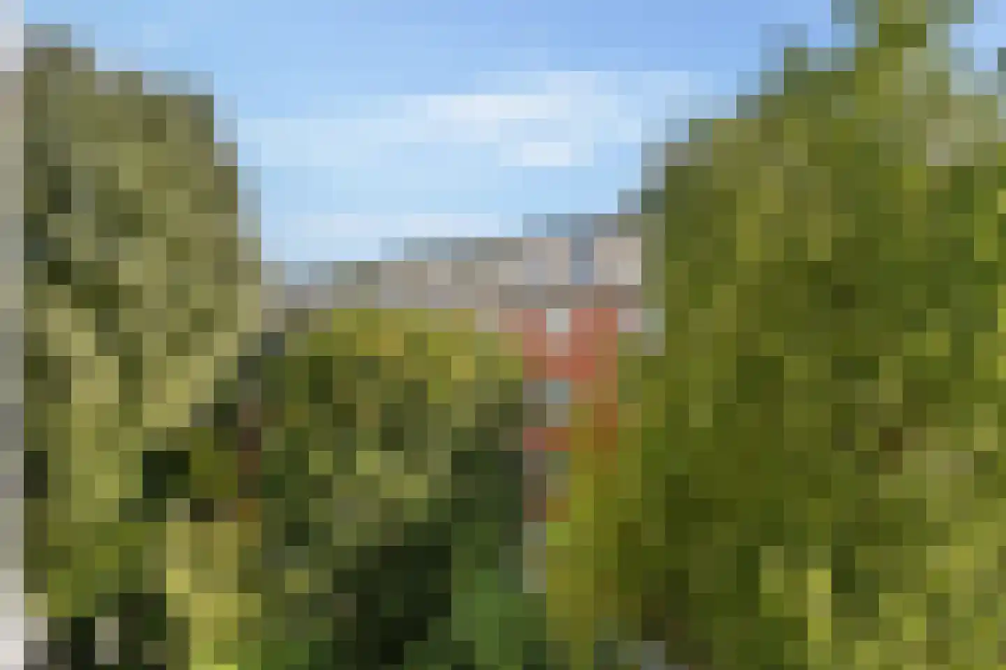 Tweede Atjehstraat 50 2 Amsterdam thumbnail 29