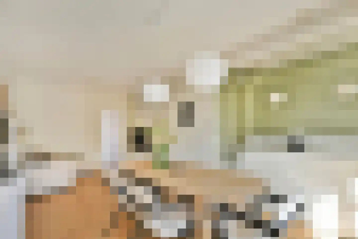 Tweede Atjehstraat 50 2 Amsterdam thumbnail 8