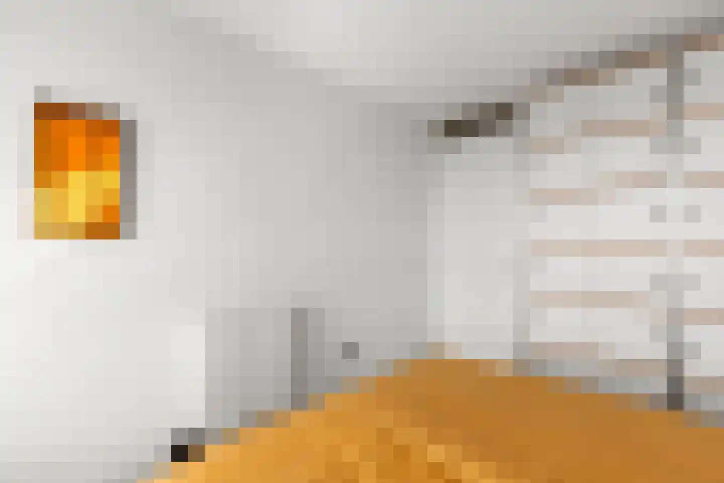 Tweede Atjehstraat 8 E Amsterdam thumbnail 25