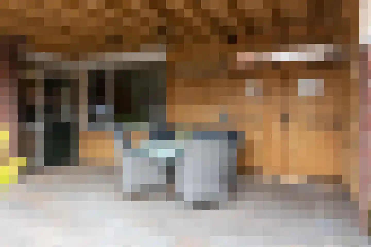 Tweede Beuzenes 13 Winterswijk thumbnail 37