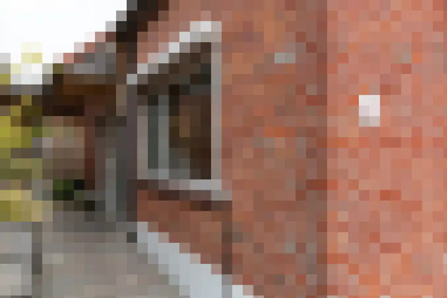 Tweede Beuzenes 13 Winterswijk thumbnail 4