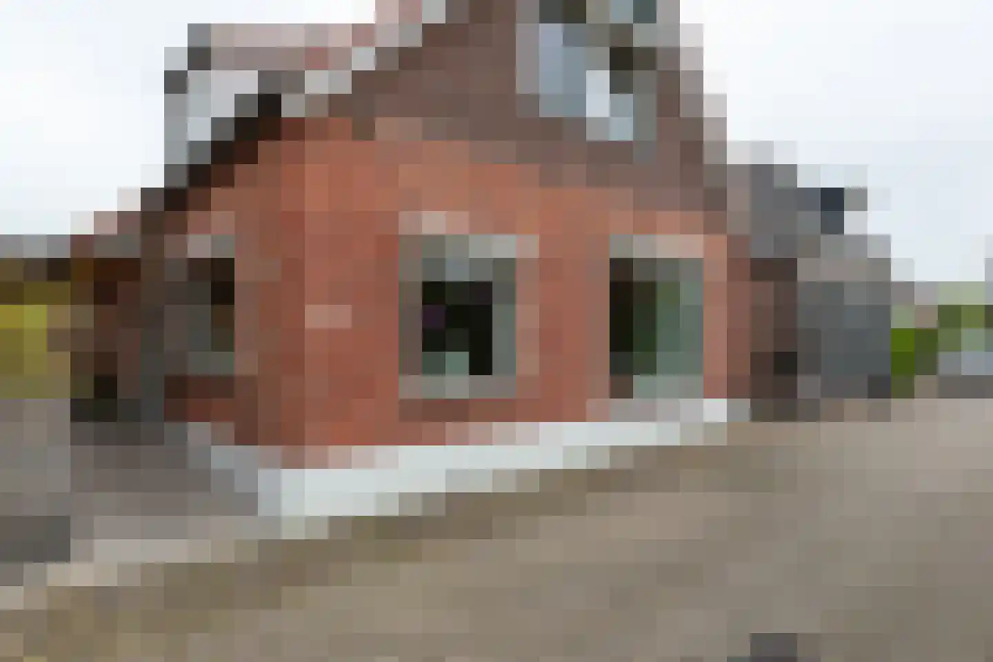 Tweede Beuzenes 13 Winterswijk thumbnail 5