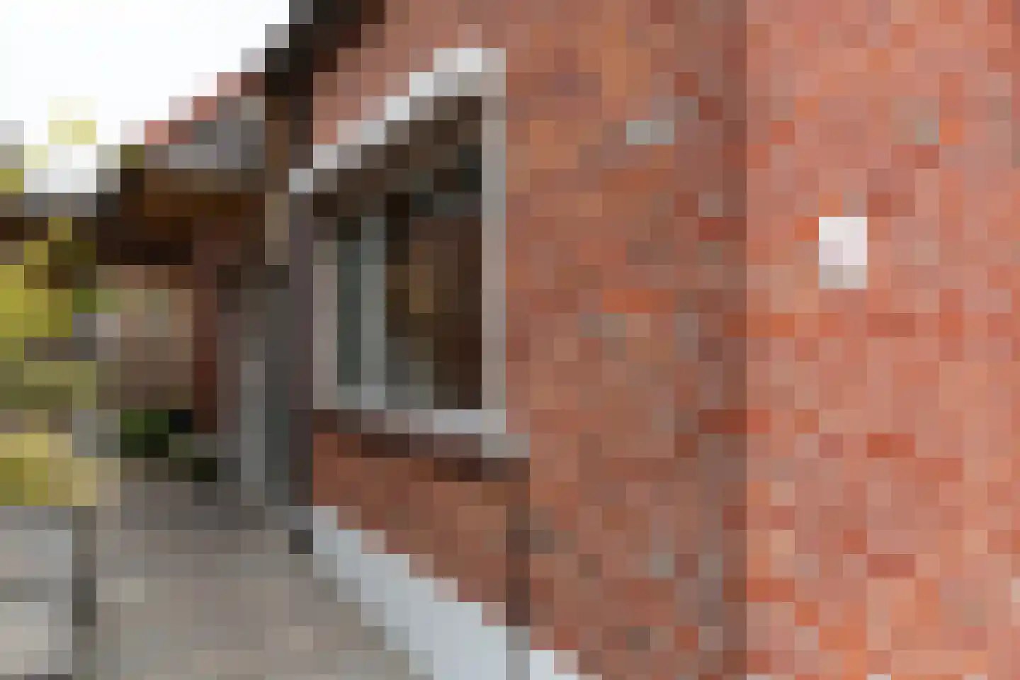 Tweede Beuzenes 13 Winterswijk thumbnail 6