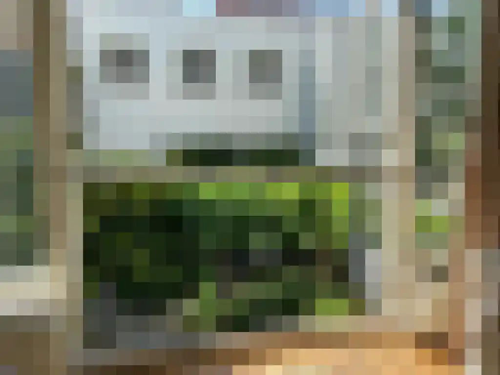 Tweede Bloemdwarsstraat 16 Amsterdam thumbnail 5