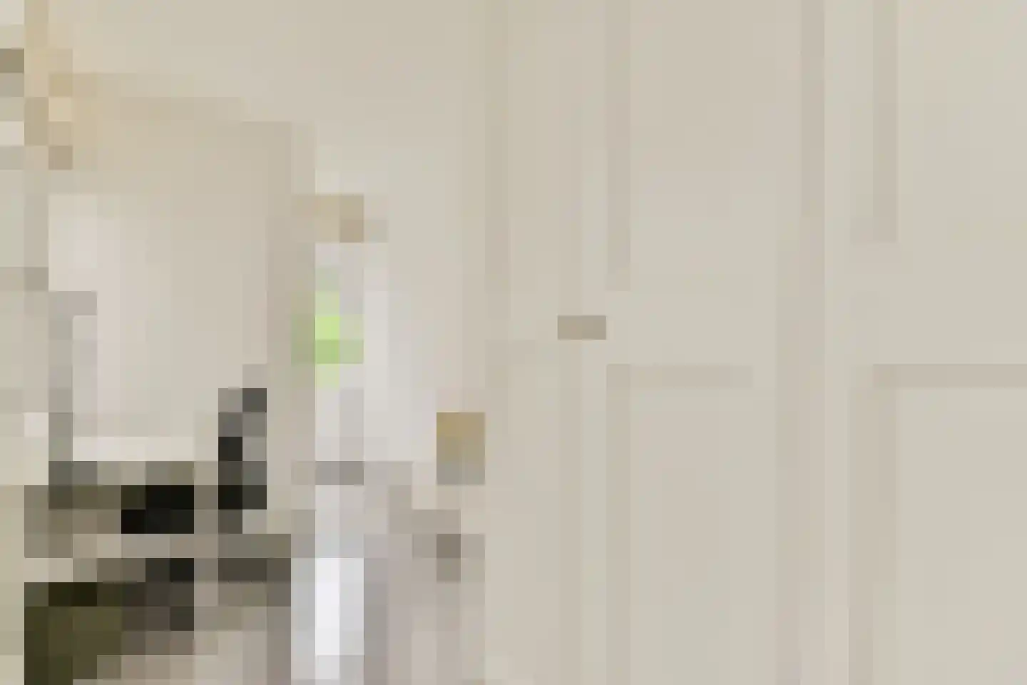 Tweede Bloemdwarsstraat 9 H Amsterdam thumbnail 21