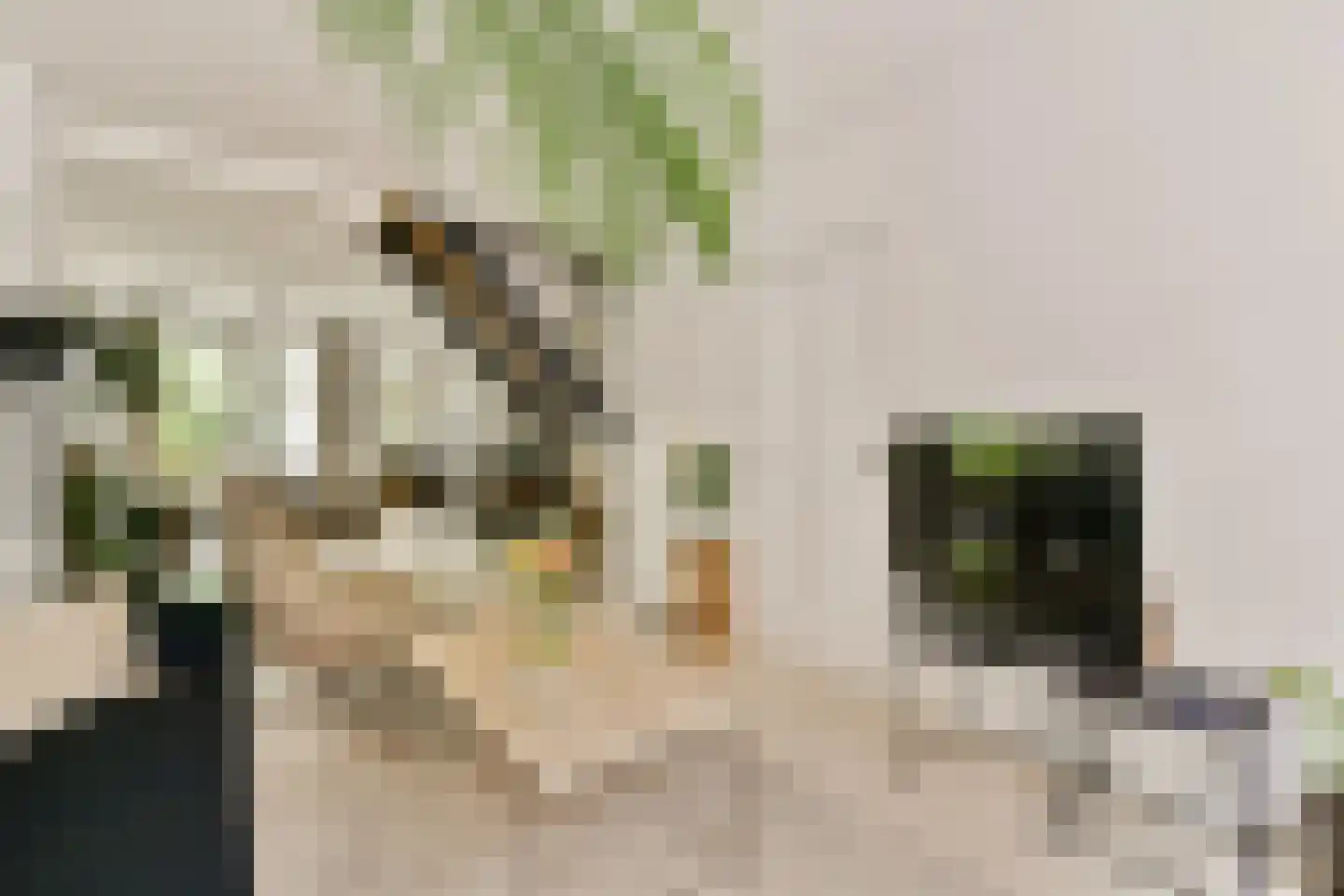 Tweede Bloemdwarsstraat 9 H Amsterdam thumbnail 4