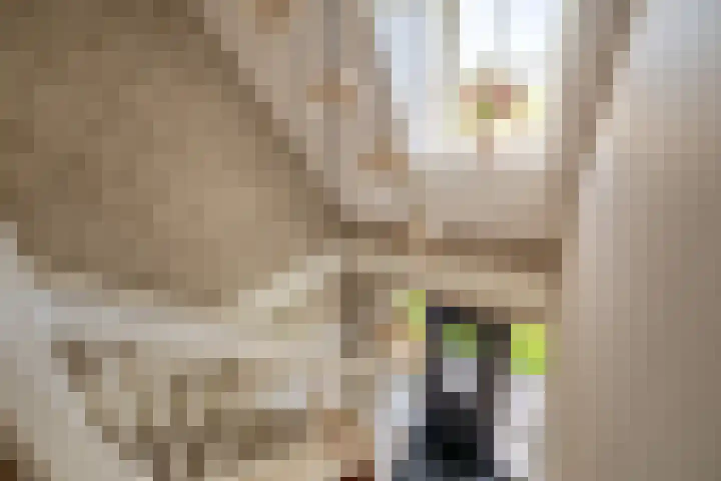 Tweede Bloksweg 38 D Waddinxveen thumbnail 24