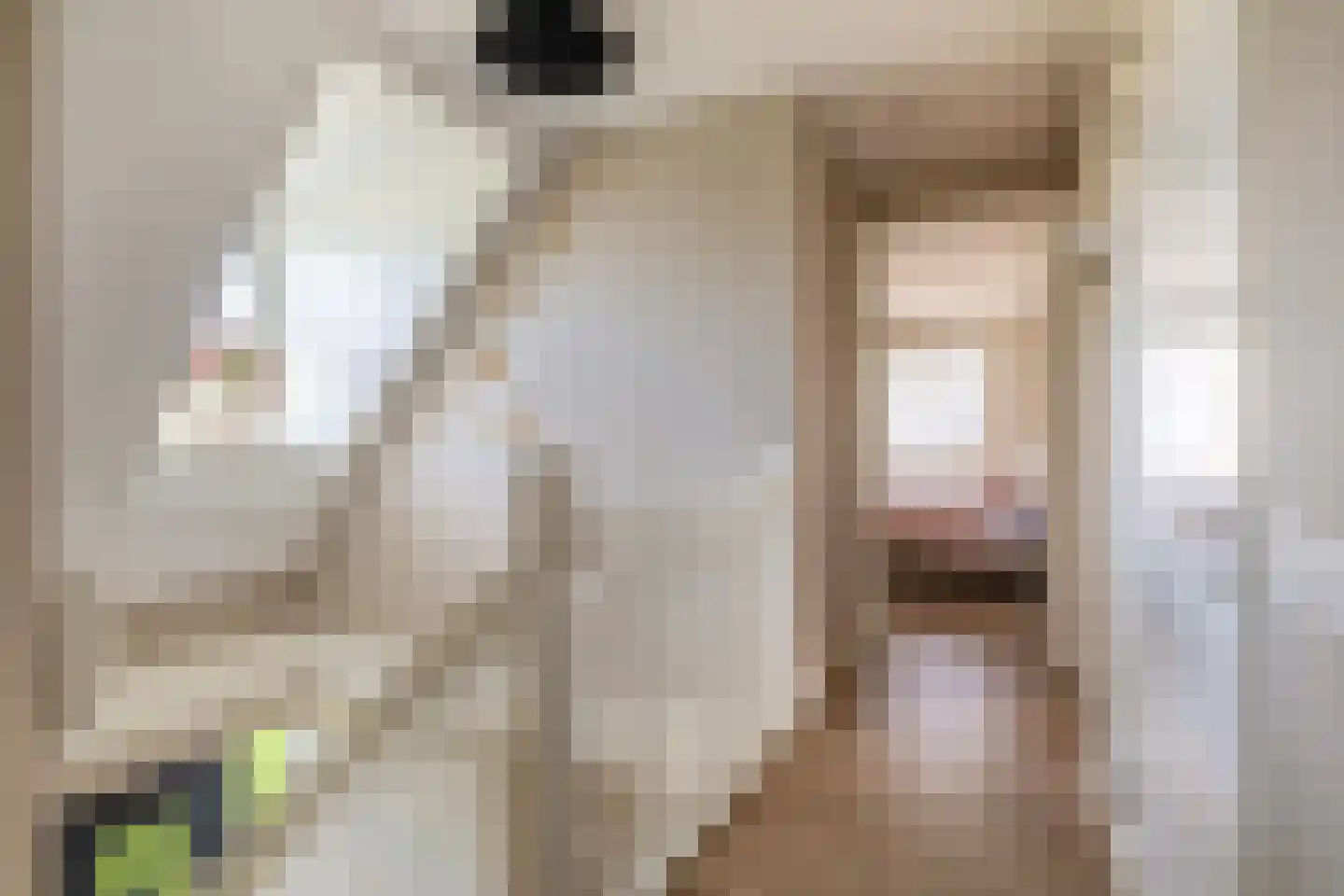 Tweede Bloksweg 38 D Waddinxveen thumbnail 25