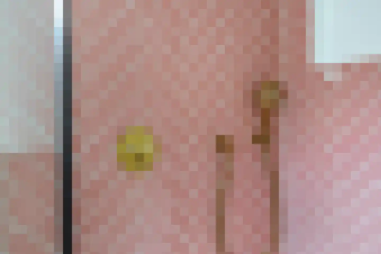 Tweede Bloksweg 38 D Waddinxveen thumbnail 33