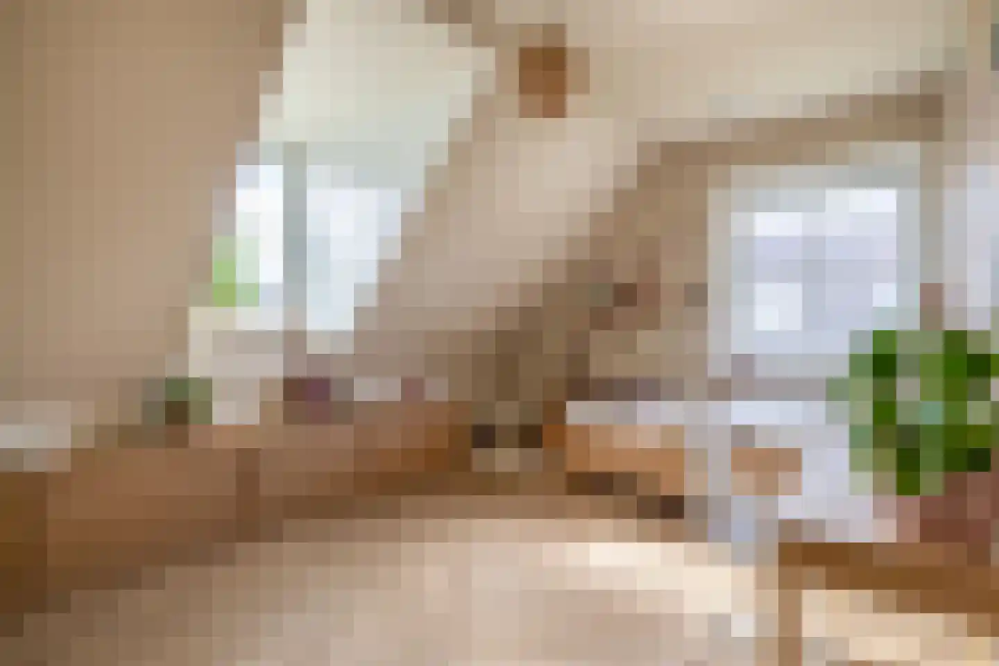 Tweede Bloksweg 38 D Waddinxveen thumbnail 36