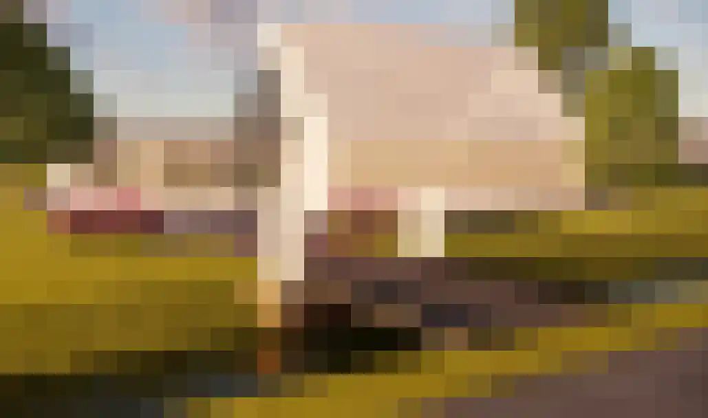 Tweede Bloksweg 38 D Waddinxveen thumbnail 48