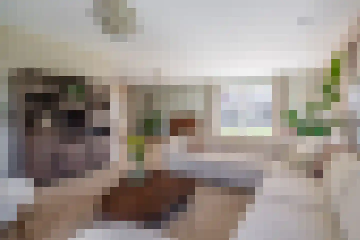 Tweede Bloksweg 38 D Waddinxveen thumbnail 9